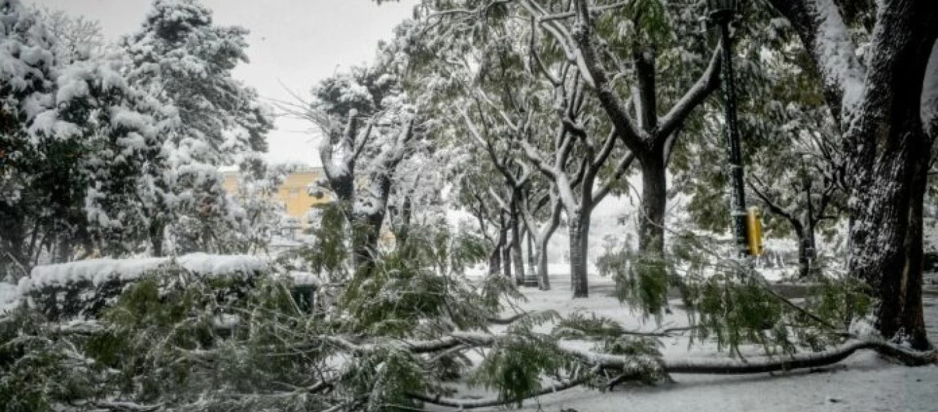 Κλειστή η Βασιλίσσης Σοφίας από πτώση δέντρου